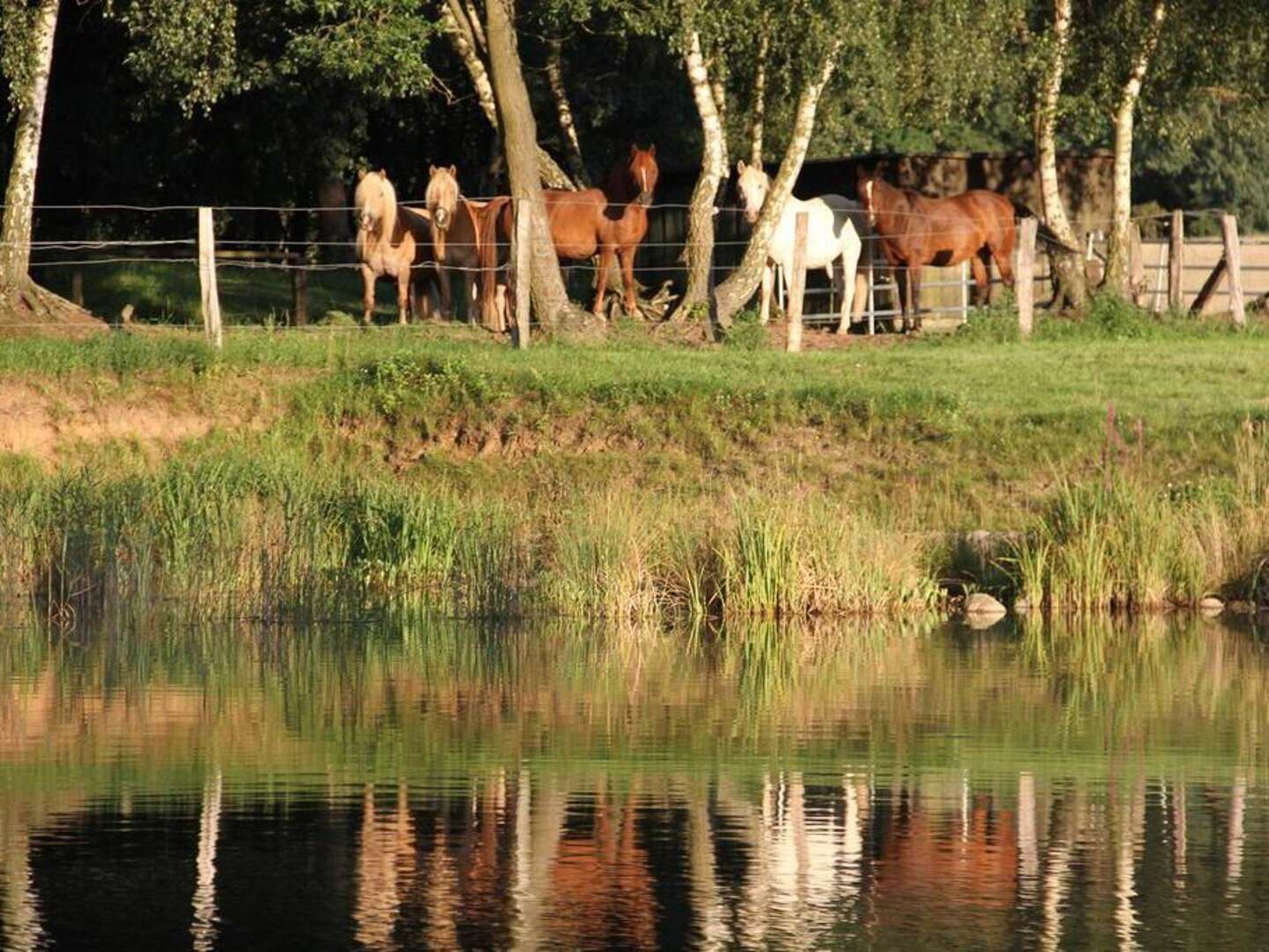 Kurzurlaub an der Mecklenburgischen Seenplatte 3 Nächte