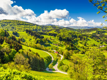 3 Tage Kurzurlaub im Schwarzwald inkl. Flammkuchen