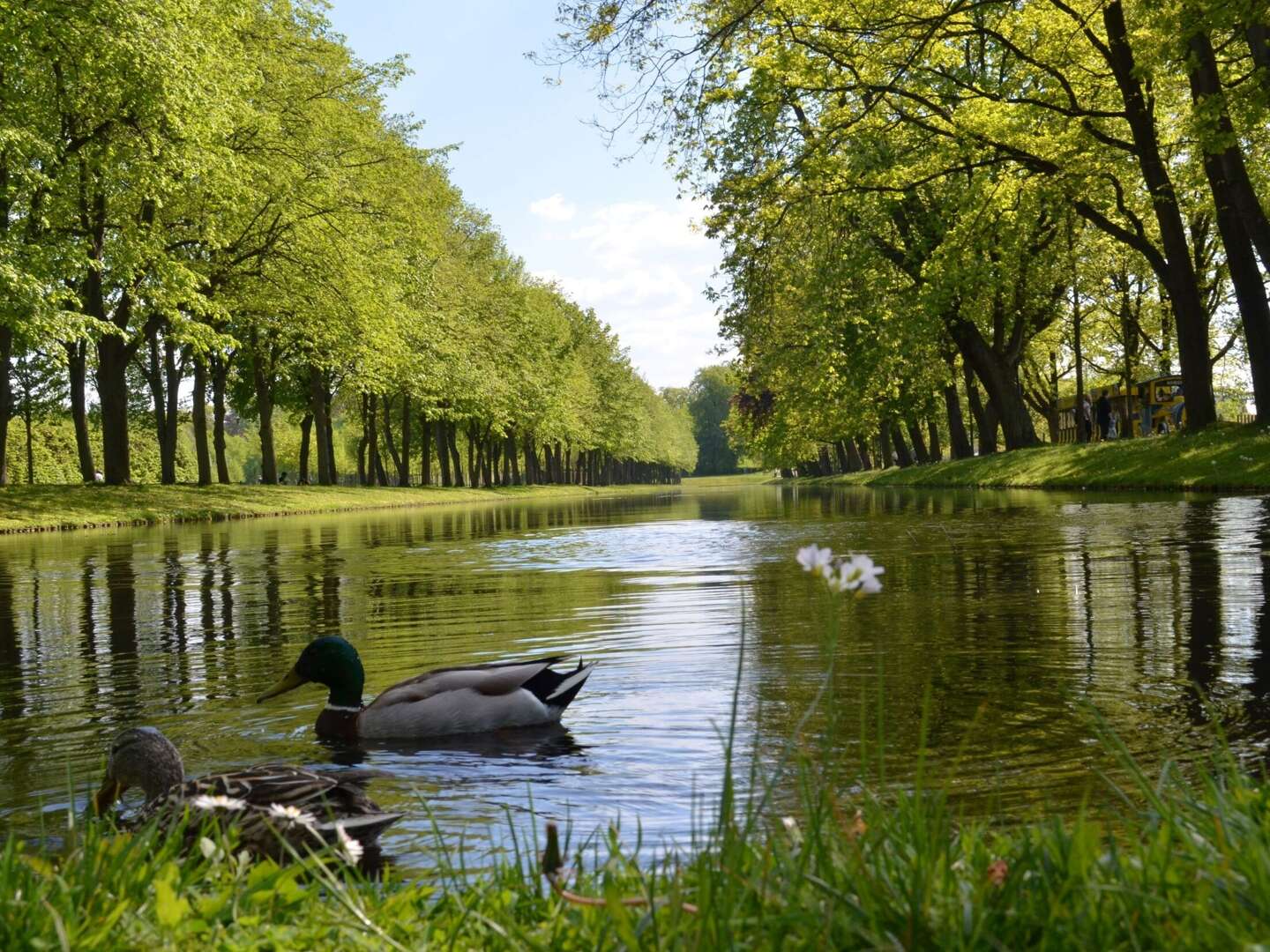 Schwerin erleben inkl. Dinner