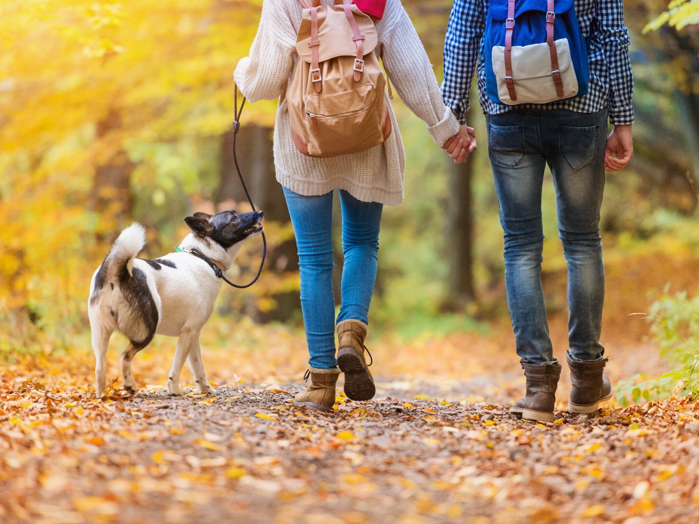 Kleine Wellness-Auszeit- 3 Tage in der Weltkulturerbe-Stadt Quedlinburg