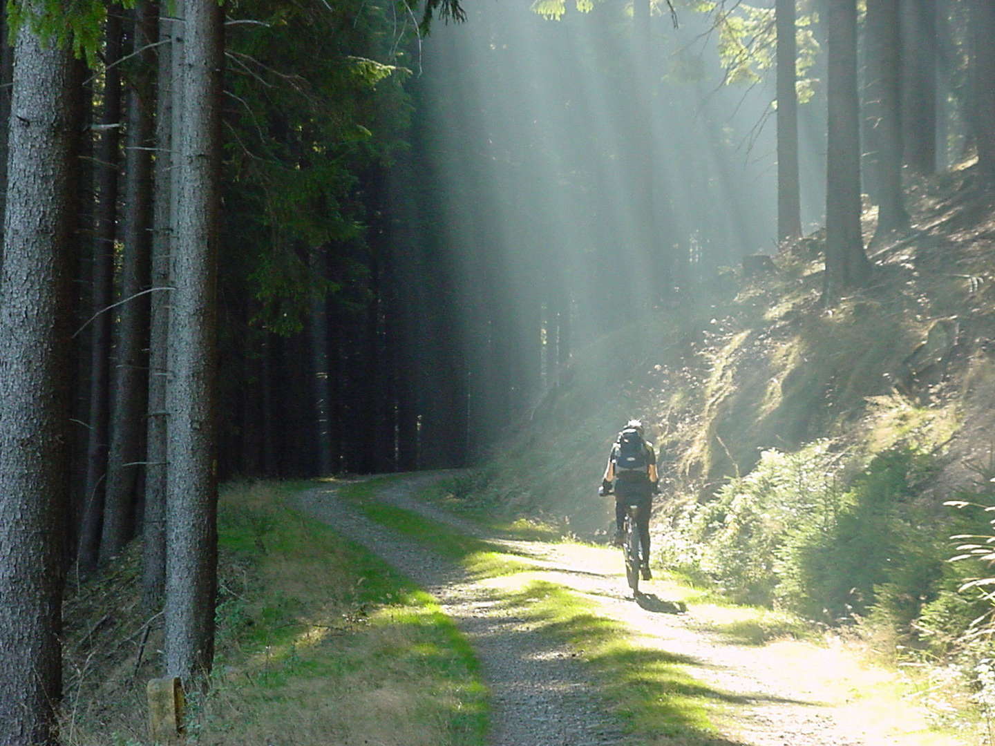 Harz pur...zurück zur Natur inkl. Rucksackfüllung  - 2 Nächte