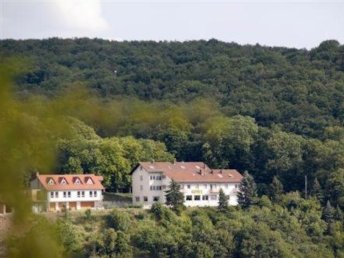 Genuss Wandern für 7 Tage in der Pfalz inkl. HP