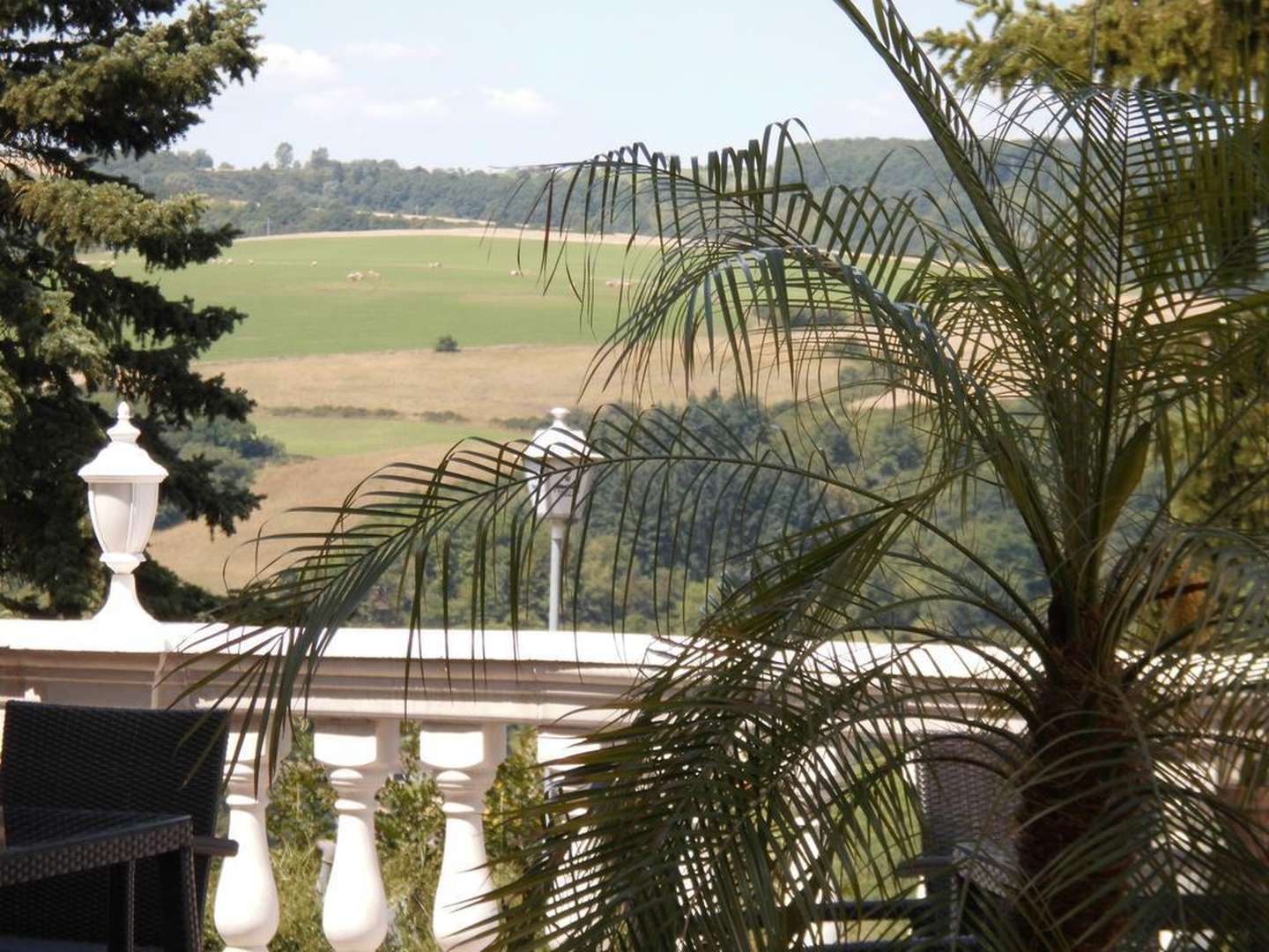 Genuss Wandern für 7 Tage in der Pfalz inkl. HP