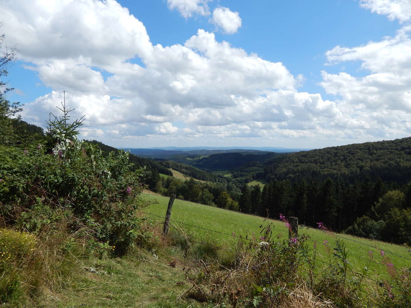 Vier-Jahreszeiten im Sauerland inkl. Abendessen