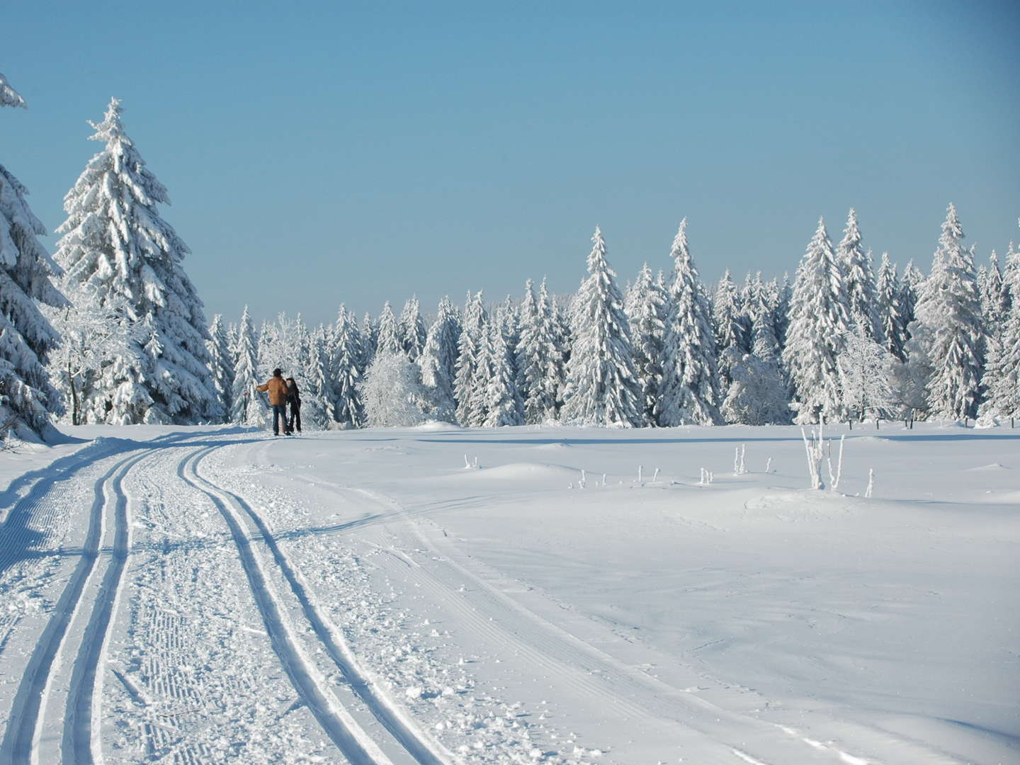 3-Tage-Special im Sauerland inkl. einer Verwöhn Pension 