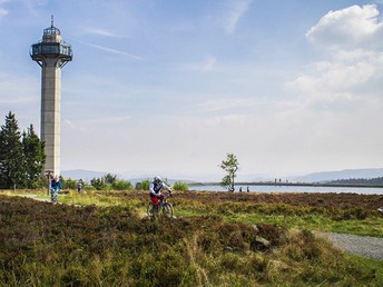 Vier-Jahreszeiten im Sauerland inkl. Abendessen