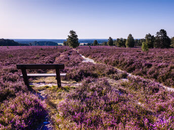 Kulinarischer Zwischenstopp in der Lüneburger Heide