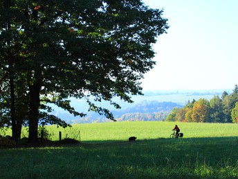 Schnell mal weg ins Erzgebirge  für 4 Tage