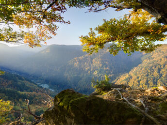 Das Wandern im Schwarzwald ist... auch meine Lust