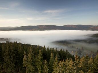 Kurzurlaub im Schwarzwald - den gönn ich mir! 8 Tage 