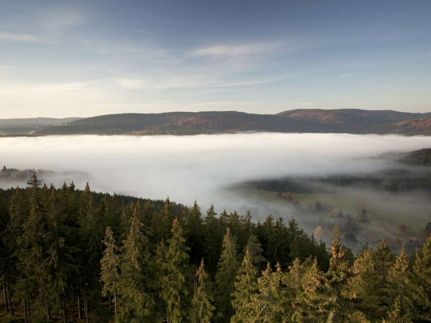 4 Tage Kurzurlaub im Schwarzwald mit Abendessen