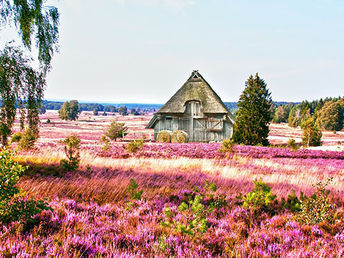 5*-Woche mit Kulinarik & Kultur in der Lüneburger Heide