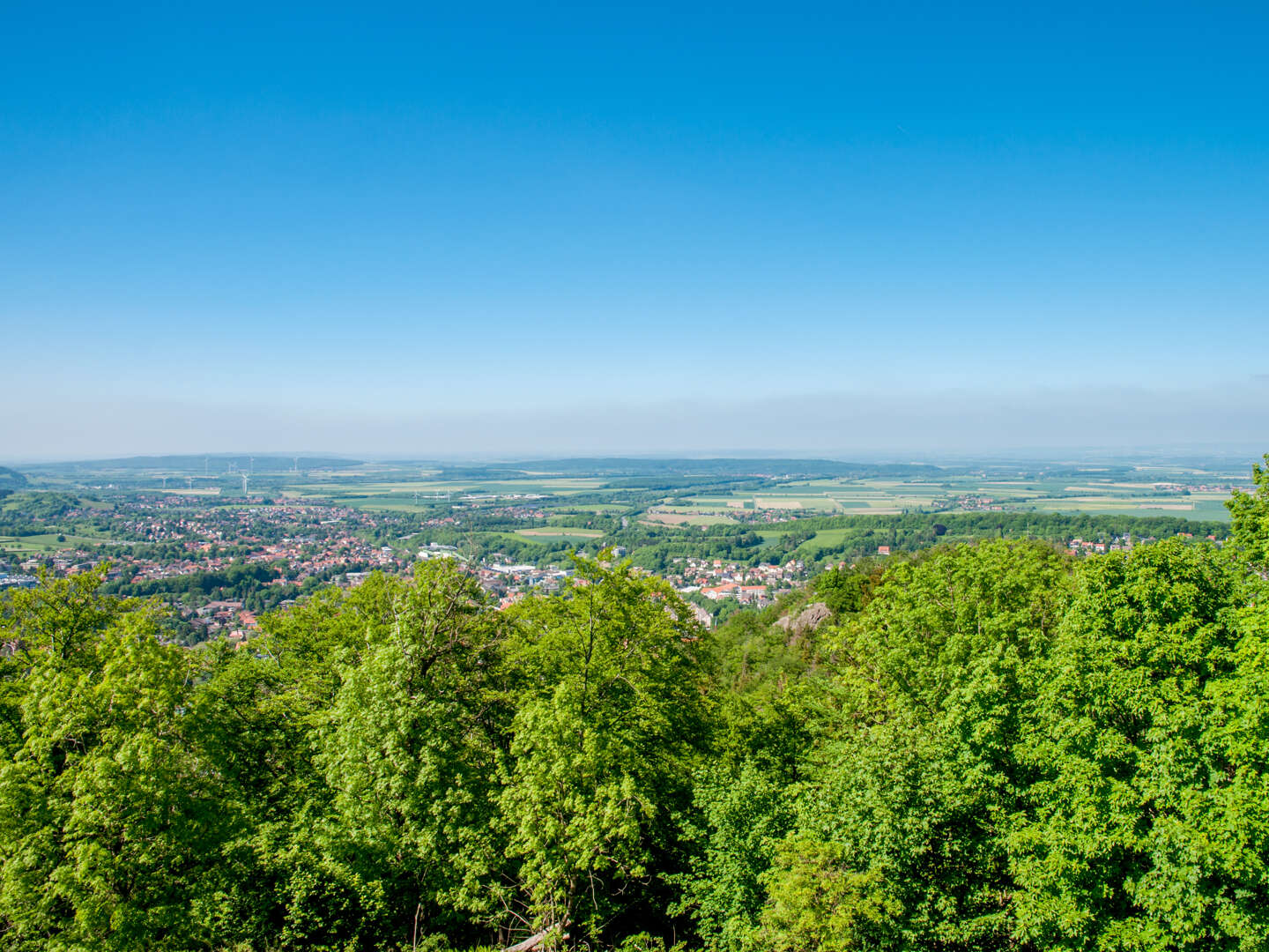 Erholungspause im Harz