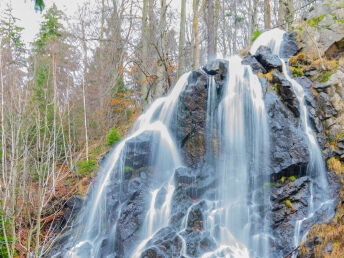 Sonnige Auszeit im Harz