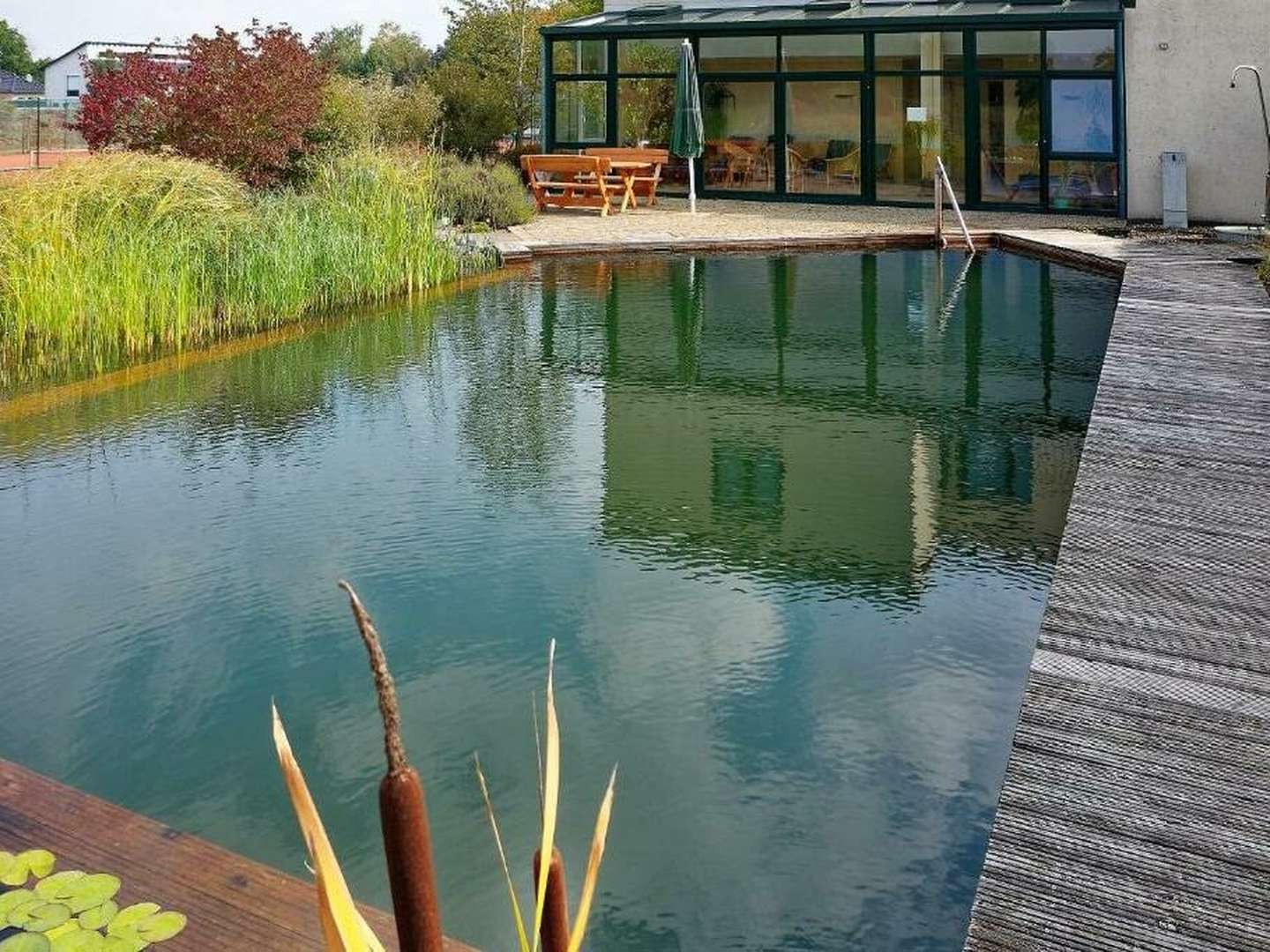 Speck weg Tage im Süden der Lüneburger Heide