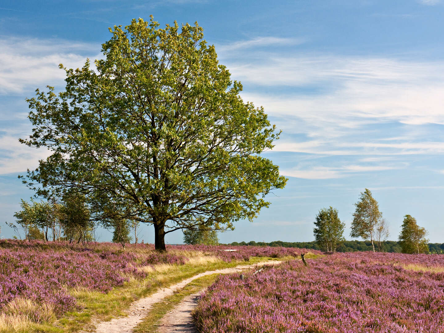 Schnell mal Kraft tanken im laVital im Süden der Lüneburger Heide für 3 Tage