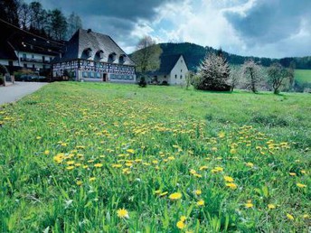 Kulinarischer Kurzurlaub im Schwarzwald