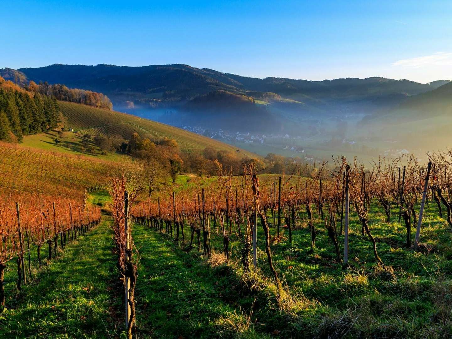 Der kleine Erholungsurlaub im Schwarzwald 6 Tage