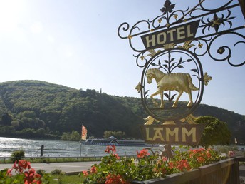 4 Tage - Kurzurlaub am Rhein in den Weinbergen vom Rheingau inkl. HP