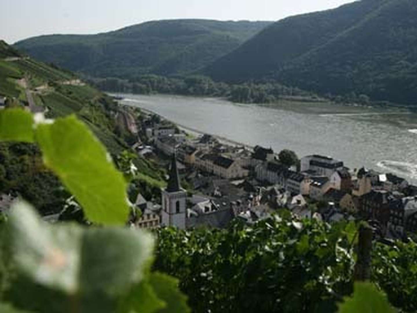 4 Tage - Kurzurlaub am Rhein in den Weinbergen vom Rheingau inkl. HP