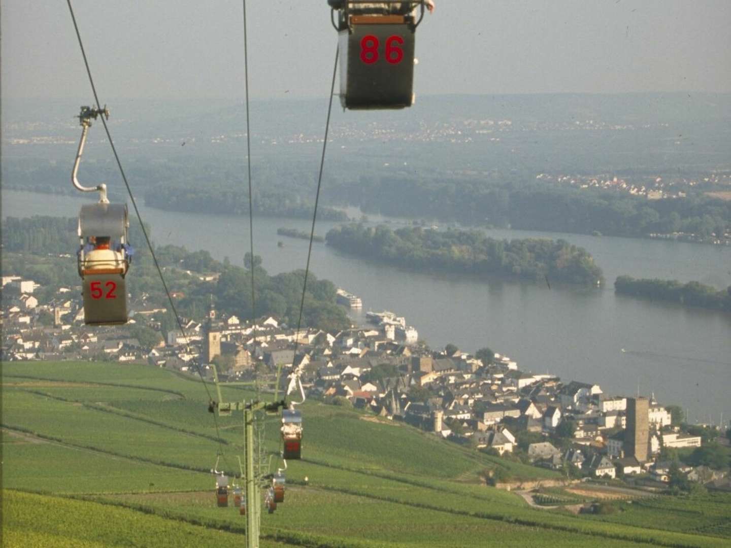 4 Tage - Kurzurlaub am Rhein in den Weinbergen vom Rheingau inkl. HP