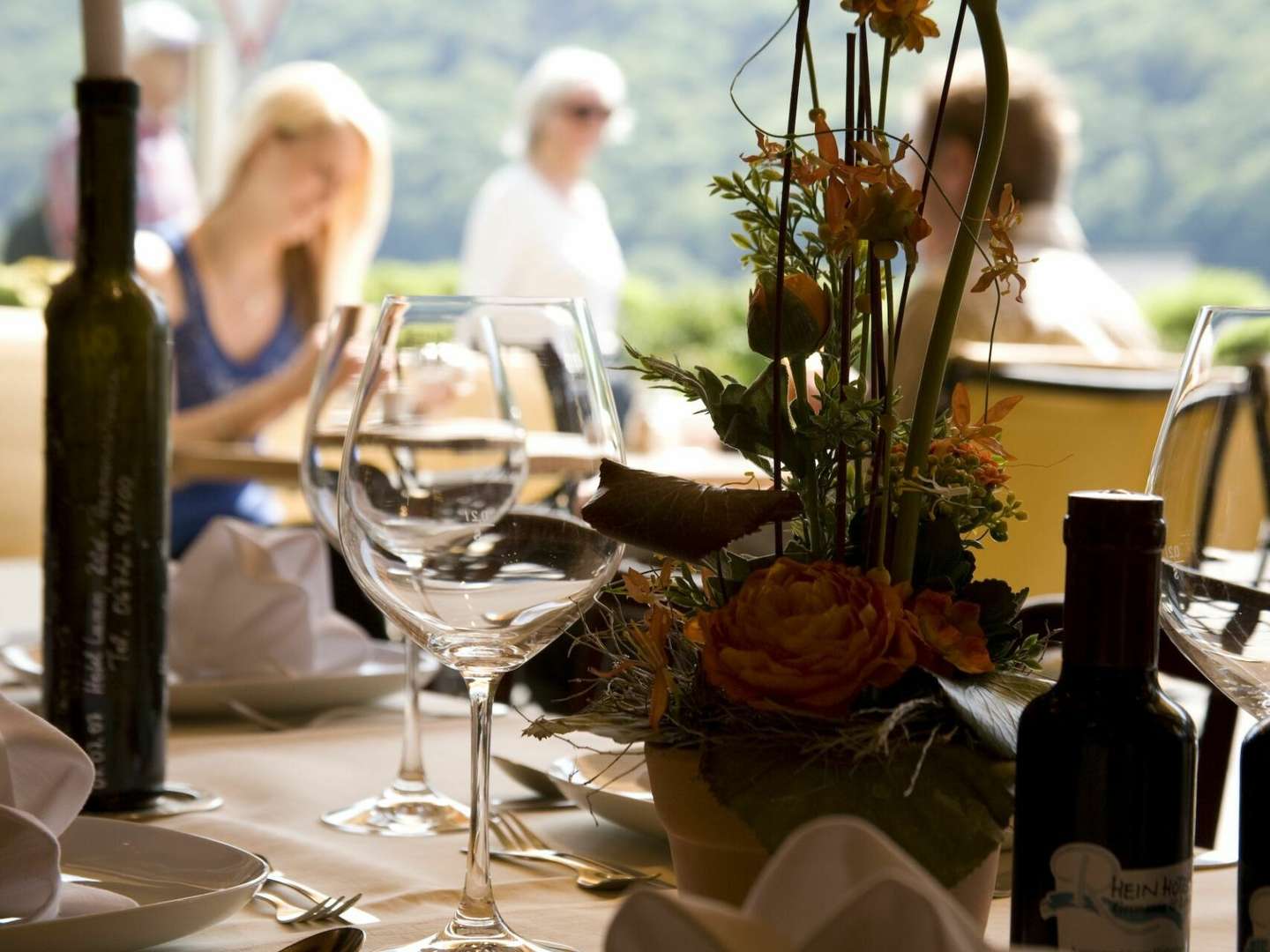 4 Tage - Kurzurlaub am Rhein in den Weinbergen vom Rheingau inkl. HP