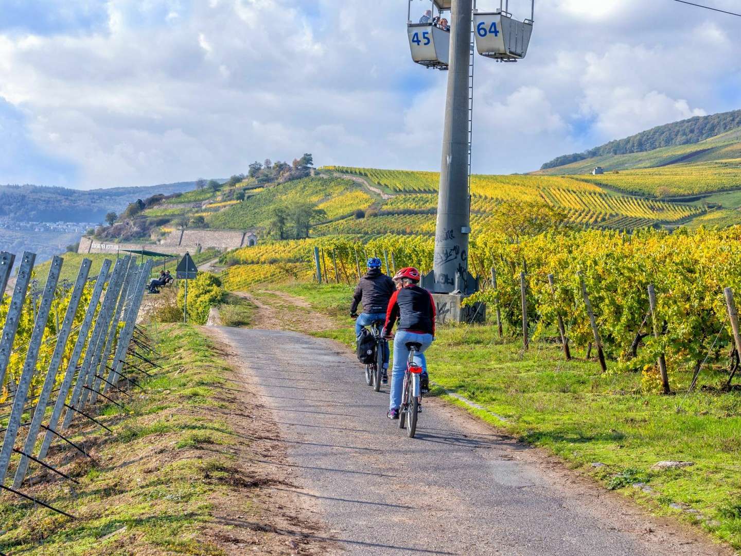 4 Tage - Kurzurlaub am Rhein in den Weinbergen vom Rheingau inkl. HP