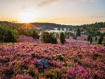 2 Genießer Tage im Flair Hotel Rieckmann Lüneburger Heide 