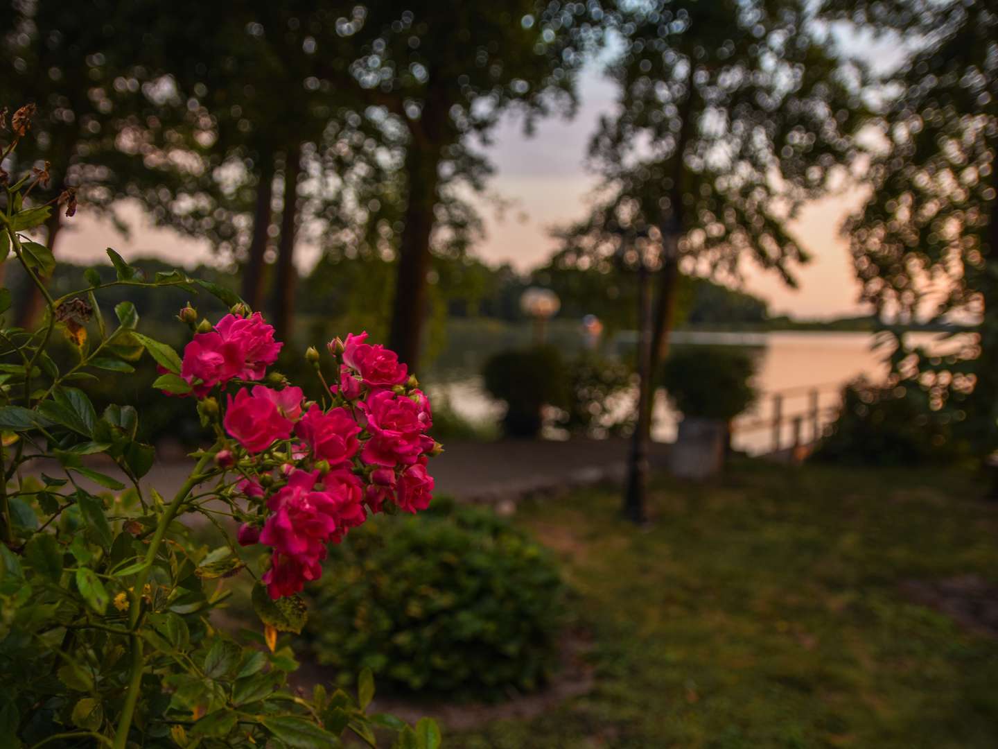 Romantische Kuschelzeit direkt am See - Ihr perfekter Sonntag