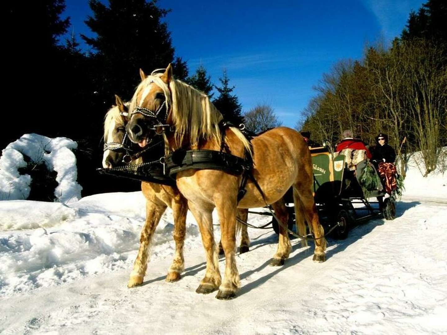 Kurze Auszeit im Sauerland inkl. Nutzung des Wiesengrund-SPA