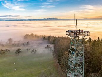 Genussfreu(n)de am schönen Bodensee