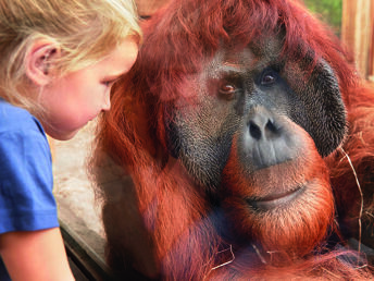 Tierische Weltreise in der ZOOM Erlebniswelt | 2 Tage