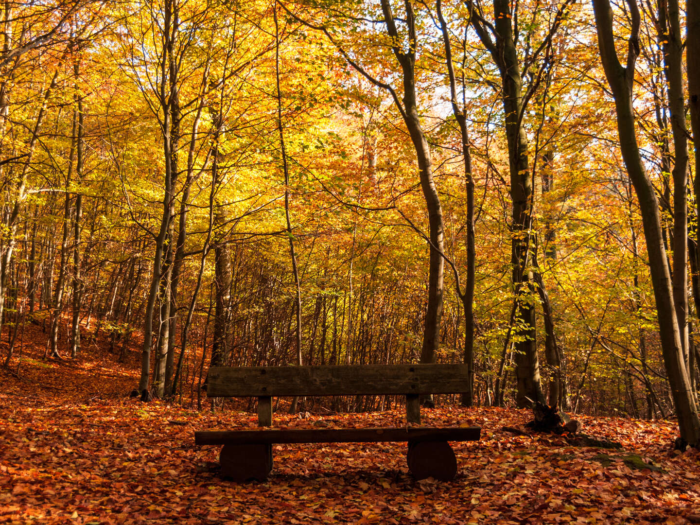 Einen Kurztripp nach Rügen im November