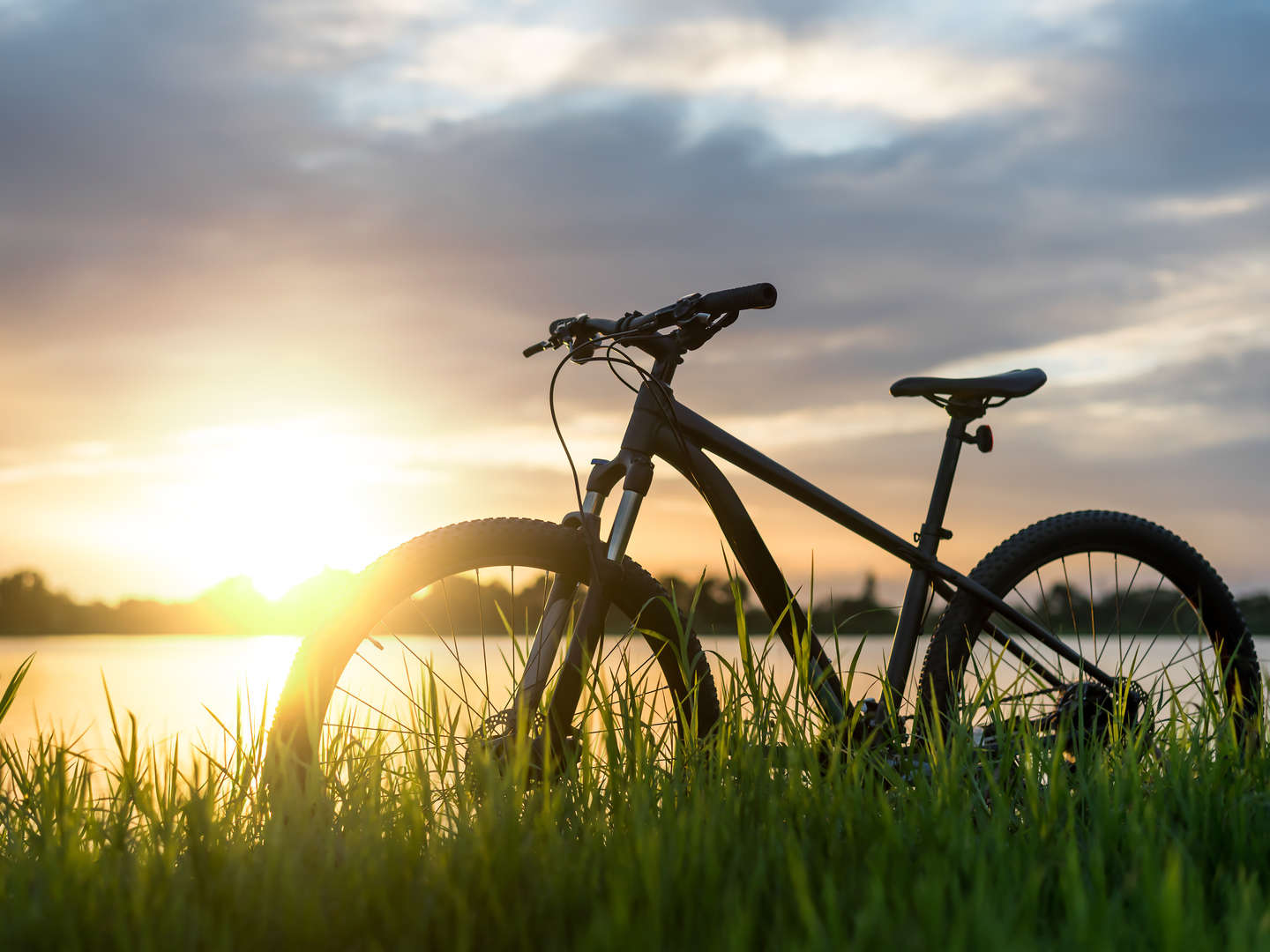 Radeln in Regensburg | E-Bike-Garage | 100m zum Donauradweg- 3 Tage