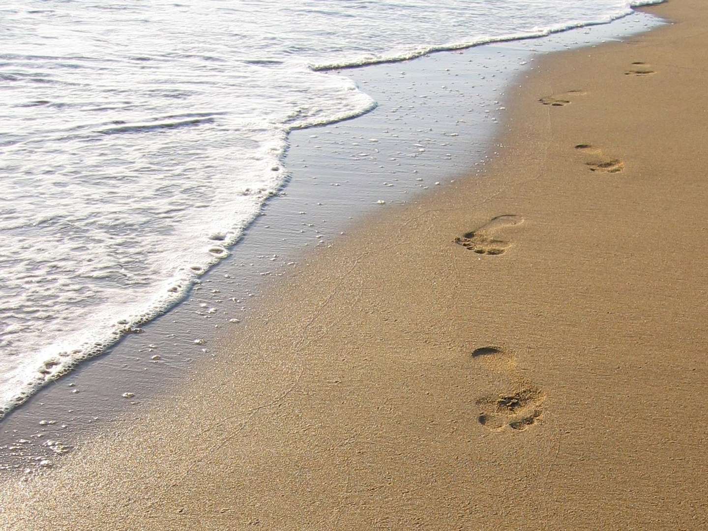 Sonne & die herrliche Meeresluft an der Ostsee