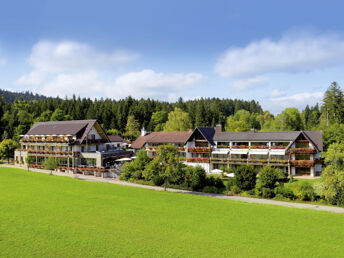 Summerfeeling im Schwarzwald