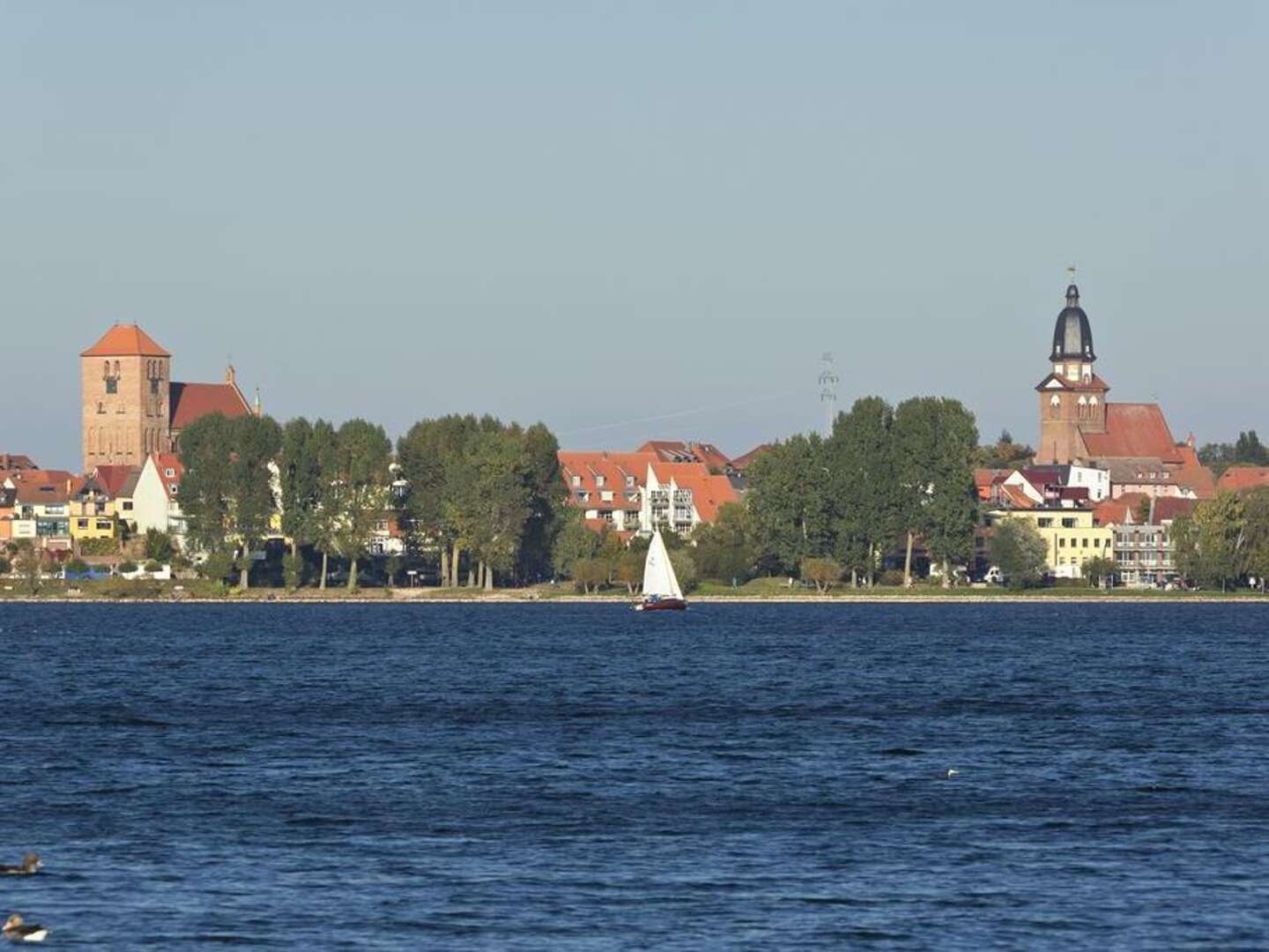 einfach mal raus... an die Müritz