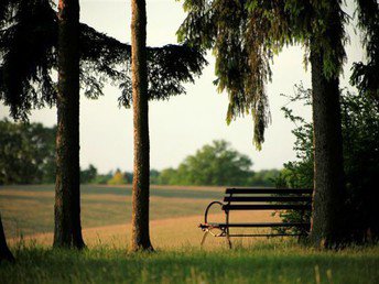 Herbstspecial 2=1 Ruppiner Seenlandschaft