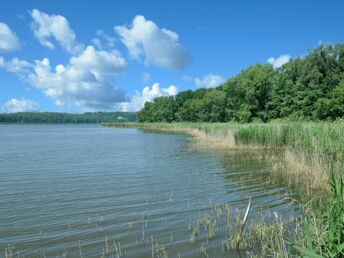 Zum Saison-Ende sehr günstig auf die Insel Usedom! (3Ü.) 