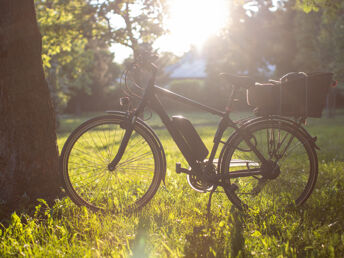 E-Bike Tour durch den Spreewald in Cottbus | 4 Tage