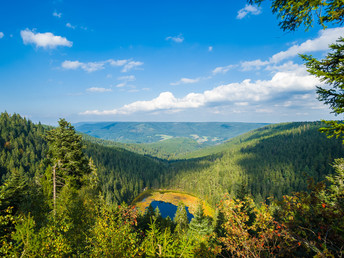 Schnuppertage im Schwarzwald mit 6 Gang Diner