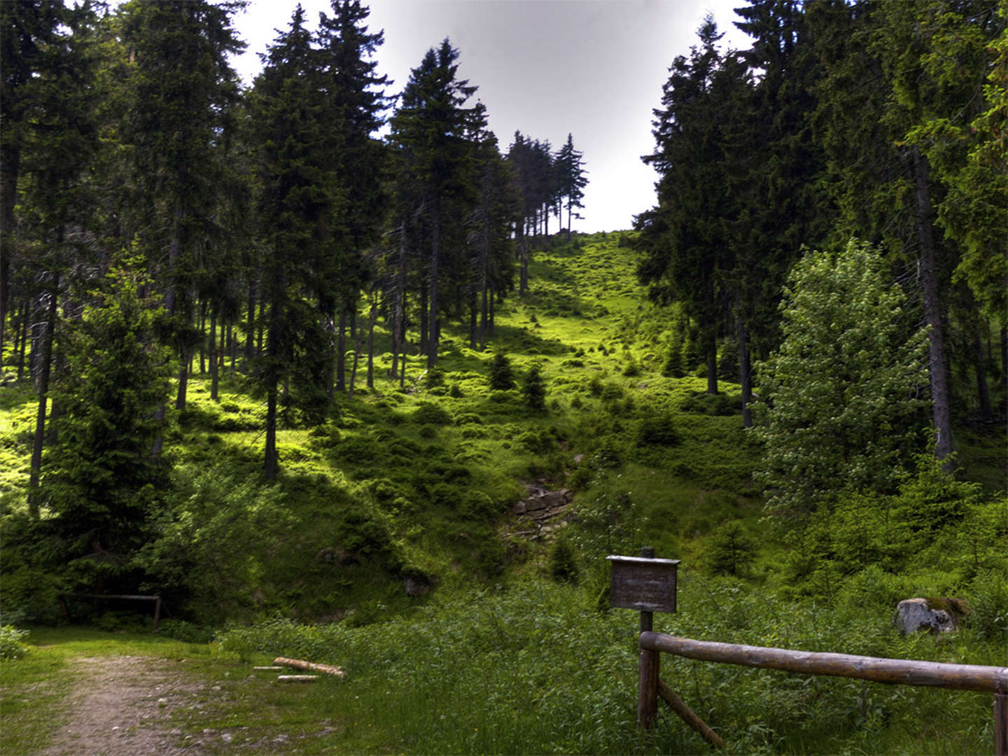 Auf der Jagd nach der Zorger Wandernadel inkl. Abendessen & Lunchpaket