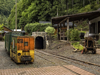 Wanderurlaub im Harz inkl. Abendessen