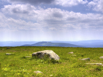 Den Wurmberg im Harz erklimmen