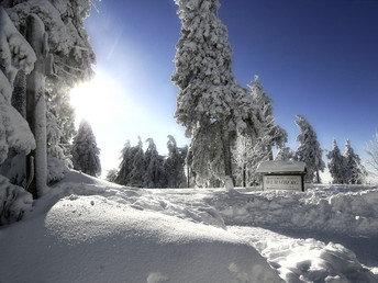 Stempeljagd durch den Harz 