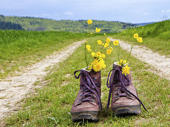  Wandertage im Harz  inkl. Abendessen & Lunchpaket