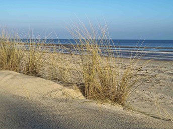 Weihnachten am Meer mit Abendessen auf Usedom