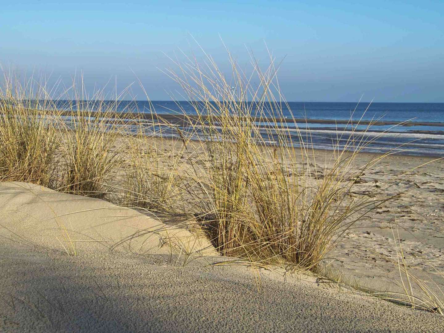 Weihnachten am Meer mit Abendessen auf Usedom