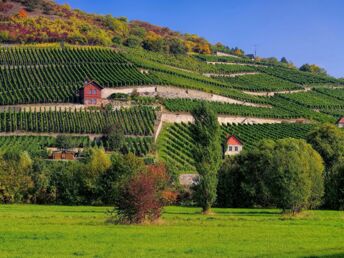 4 Tage Kultur & Genuss in der Domstadt Merseburg inkl. Halbpension & Rotkäppchen Sektkellerei 