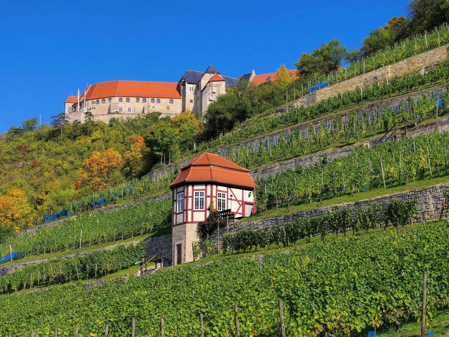 4 Tage Kultur & Genuss in der Domstadt Merseburg inkl. Halbpension & Rotkäppchen Sektkellerei 